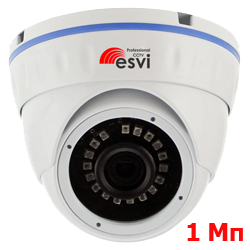 Цветная уличная купольная IP видеокамера ESVI EVC-DN-S10, f=2.8мм, 1.0Мп.